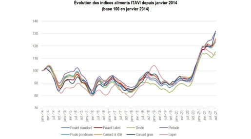 indices Itavi 2021