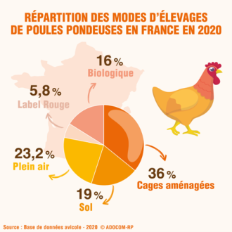 Répartition des effectifs de poules pondeuses par mode d’élevage en 2020