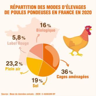 Répartition des effectifs de poules pondeuses par mode d’élevage en 2020 Répartition des effectifs de poules pondeuses par mode d’élevage en 2020