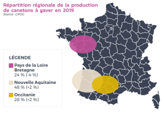 Répartition régionale des canetons à gaver Répartition régionale des canetons à gaver